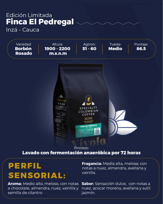 Borbón Rosado Inzá, Cauca Medium Roast Colombian Specialty Coffee 250gr/8.8oz